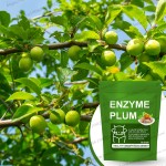 Enzyme Plum Supplement Supplier - Natural Slimming Detox
