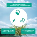 Organic Alfalfa Powder Manufacturer - 100% Pure Leaf Digestive