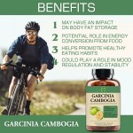 Garcinia Cambogia Capsules Manufacturer - 100% Pure Metabolism
