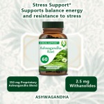 Ashwagandha Root Capsules Supplier - OEM ODM Organic Withanolides