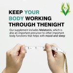 Nighttime Fat Burner Capsules Manufacturer - Melatonin Sleep Aid