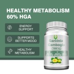 Garcinia Cambogia Capsules Factory - Weight Management Mood