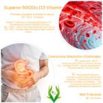 Vitamin D3 K2 Gummies Factory - B6 Zinc Bone Immunity