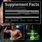 Pre Workout Creatine Powder Factory - Muscle Building Energy