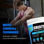 Organic Mushroom Coffee Supplier - Energy Boost Immune Defense