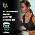 Organic Mushroom Coffee Supplier - Energy Boost Immune Defense