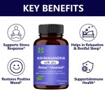 Holy Basil Ashwagandha Capsules Supplier - Zinc Mood Support