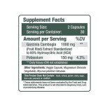 Garcinia Cambogia Capsules Factory - Weight Management Mood