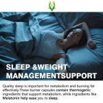 Nighttime Fat Burner Capsules Manufacturer - Melatonin Sleep Aid