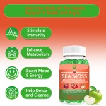 Sea Moss Gummies Factory - 8 in 1 Immunity Metabolism