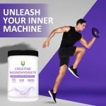 Pure Creatine Powder Supplier - Gold Standard Muscle Recovery