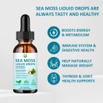 Sea Moss Liquid Drops Supplier - 60ml 10000mg Antioxidant