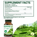 Ashwagandha Root Capsules Supplier - OEM ODM Organic Withanolides