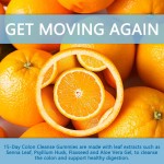 Colon Cleanse Gummies Manufacturer - 15 Day Digestive Health
