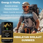 Shilajit Gummies Factory - Panax Ginseng Energy Muscle
