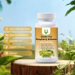 Green Tea Tablets Factory - Raspberry Ketones Appetite