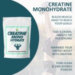 Creatine Monohydrate Powder Manufacturer - Micronized Recovery