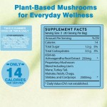 Functional Mushroom Gummies Manufacturer - Ashwagandha Focus