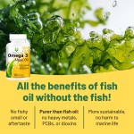 Omega 3 Algae Oil Softgels Supplier - 400mg DHA Cognitive