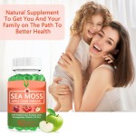 Sea Moss Gummies Factory - 8 in 1 Immunity Metabolism