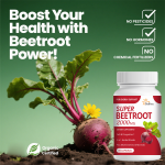 Herbal Supplements Manufacturer - Stress Energy Cortisol