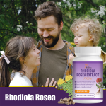 Valerian Capsules Supplier - 500mg Sleep Supplement