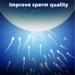 Raspberry Leaf Tea Factory - Organic Women's Herbal