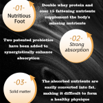 Maca Capsules Factory - Tongkat Ali Energy