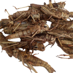 Height Increasing Capsules Supplier - Vitamin D Calcium Zinc