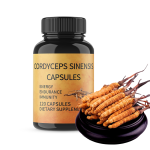 Mushroom Coffee Manufacturer - 11 Mushrooms Focus Memory