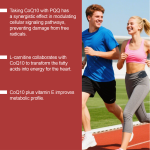 Fish Oil Softgels Factory - 1000mg Omega3 EPA DHA