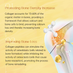 Collagen Tablets Manufacturer - Vitamin C Skin Hair Nail