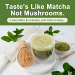 Mushroom Matcha Green Tea Supplier - Lion's Mane Focus