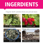 Evening Primrose Tea Manufacturer - Organic Herbal Endocrine