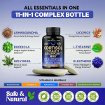 Ashwagandha Gummy Factory - Melatonin Sleep Specialized