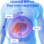 Probiotics Gummies Supplier - Sugar Free 50 Billion