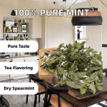 Collagen Supplement Manufacturer - Skin Hair Nail Health