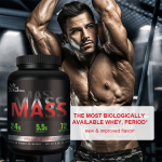 Creatine Capsules Supplier - Micronized Muscle Building