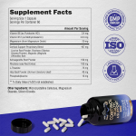 Ashwagandha Gummy Factory - Melatonin Sleep Specialized