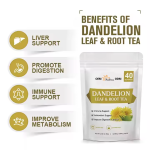 Mushroom Extract Capsules Supplier - AHCC 500mg Supplement