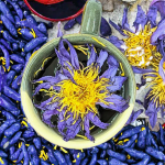 Shilajit Gummies Supplier - Sea Moss Black Seed Ashwagandha