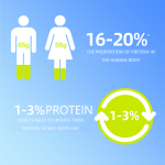 Creatine Gummies Factory - Monohydrate Energy Boost