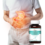 Green Tea Bags Factory - Relaxing Herbal Blended