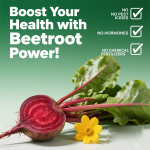 Herbal Supplements Manufacturer - Stress Energy Cortisol