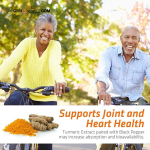 Cordyceps Capsules Factory - Sinensis Mushroom Extract