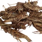 Height Increasing Capsules Supplier - Vitamin D Calcium Zinc