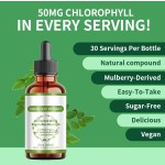 Moringa Drops Factory - OEM ODM Private Label Leaf Extract Supplements