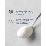 Collagen Powder Manufacturer - OEM ODM Premium Marine Peptides Joint Support