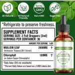 Moringa Drops Supplier - OEM ODM Plant Extracts Leaf Extract Supplements