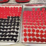 Apple Cider Vinegar Gummies Supplier - Best Supplement Healthy Vitamin Candy